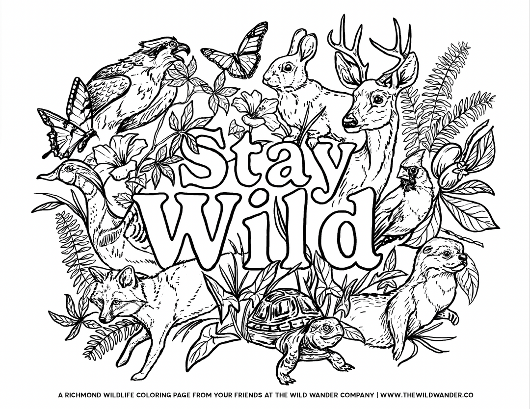 Free Coloring Sheet