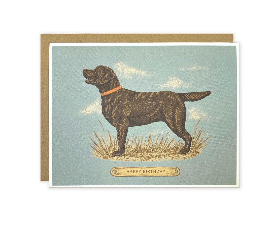 Happy Birthday Chocolate Lab Greeting Card by The Wild Wander.