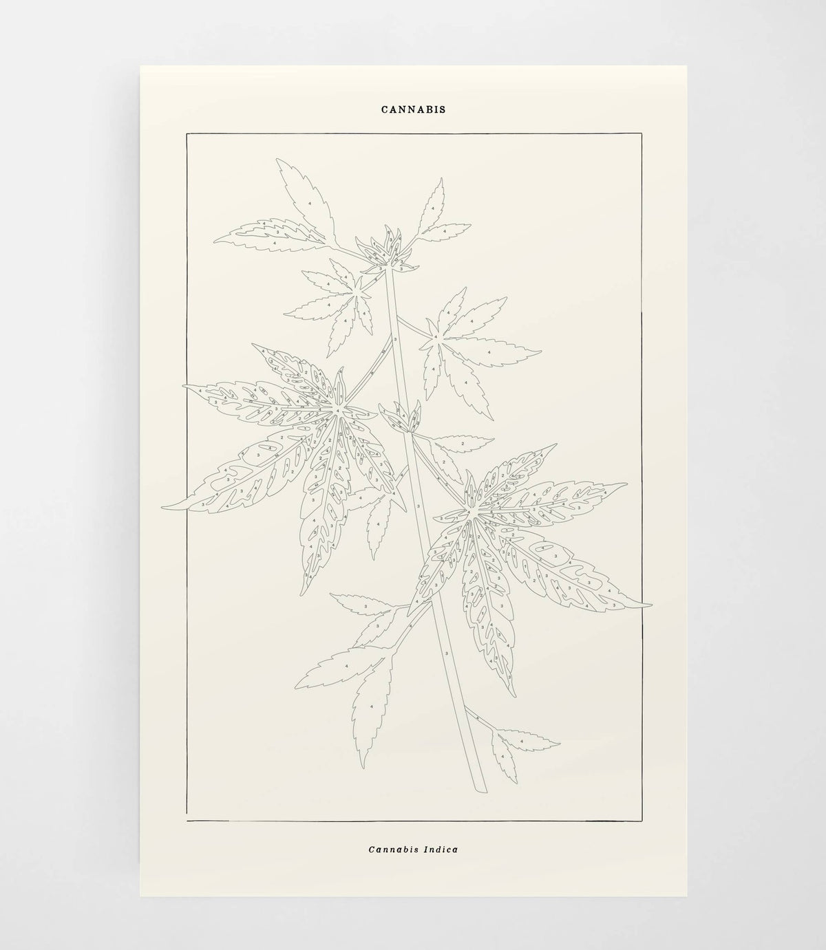 Cannabis Botanical | Modern Paint By Numbers  Kit