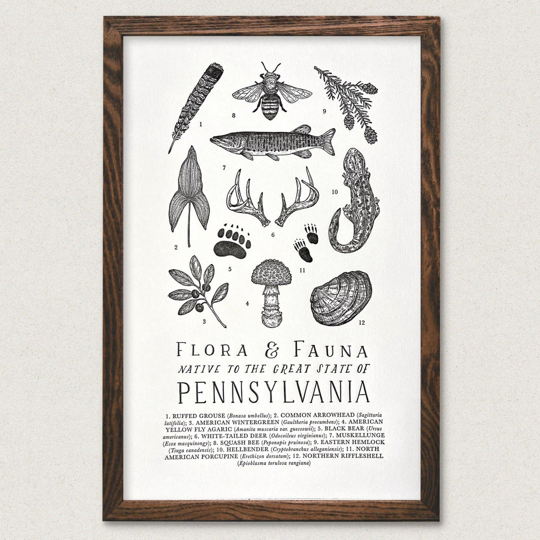 The Wild Wander Pennsylvania Field Guide Print.