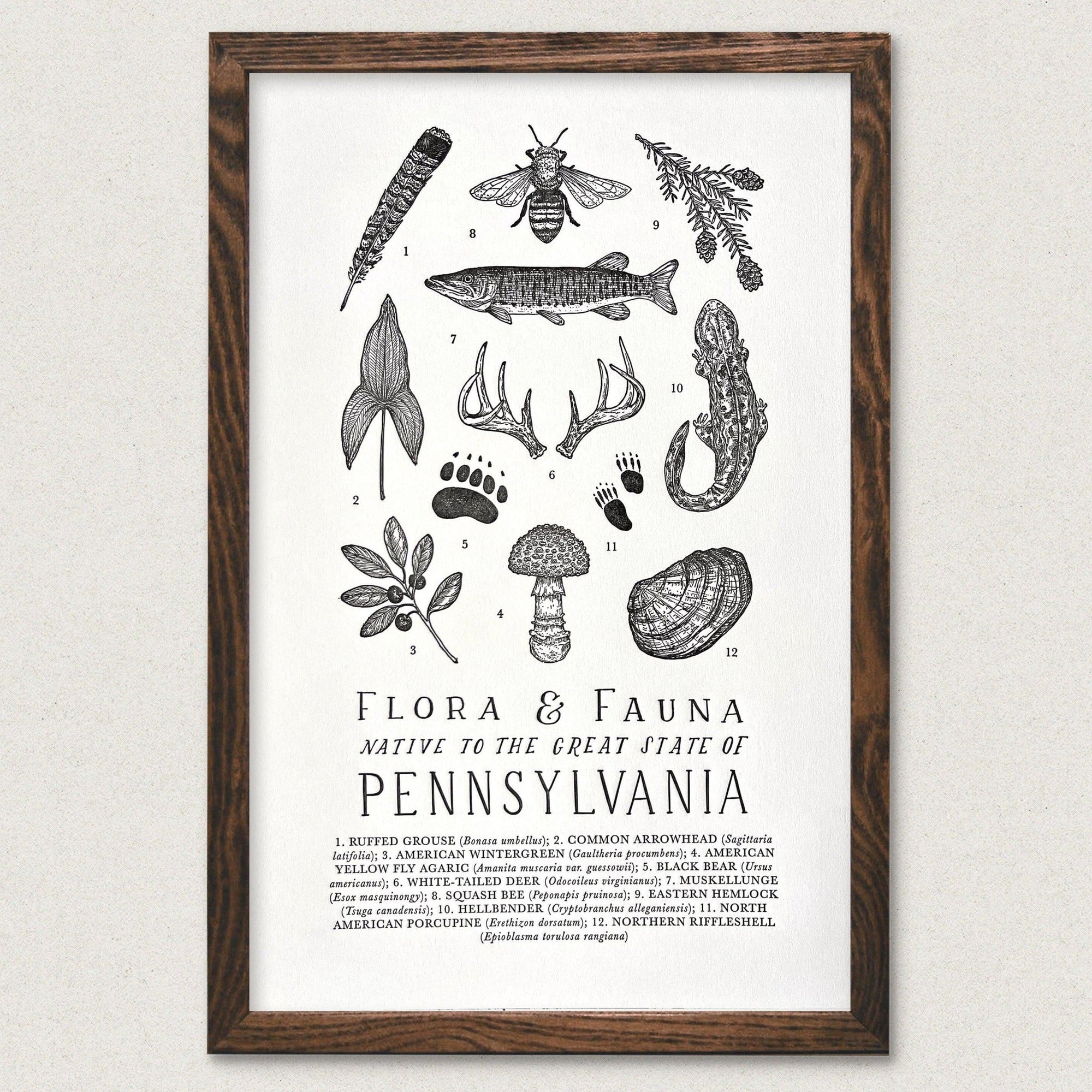 The Wild Wander Pennsylvania Field Guide Print.