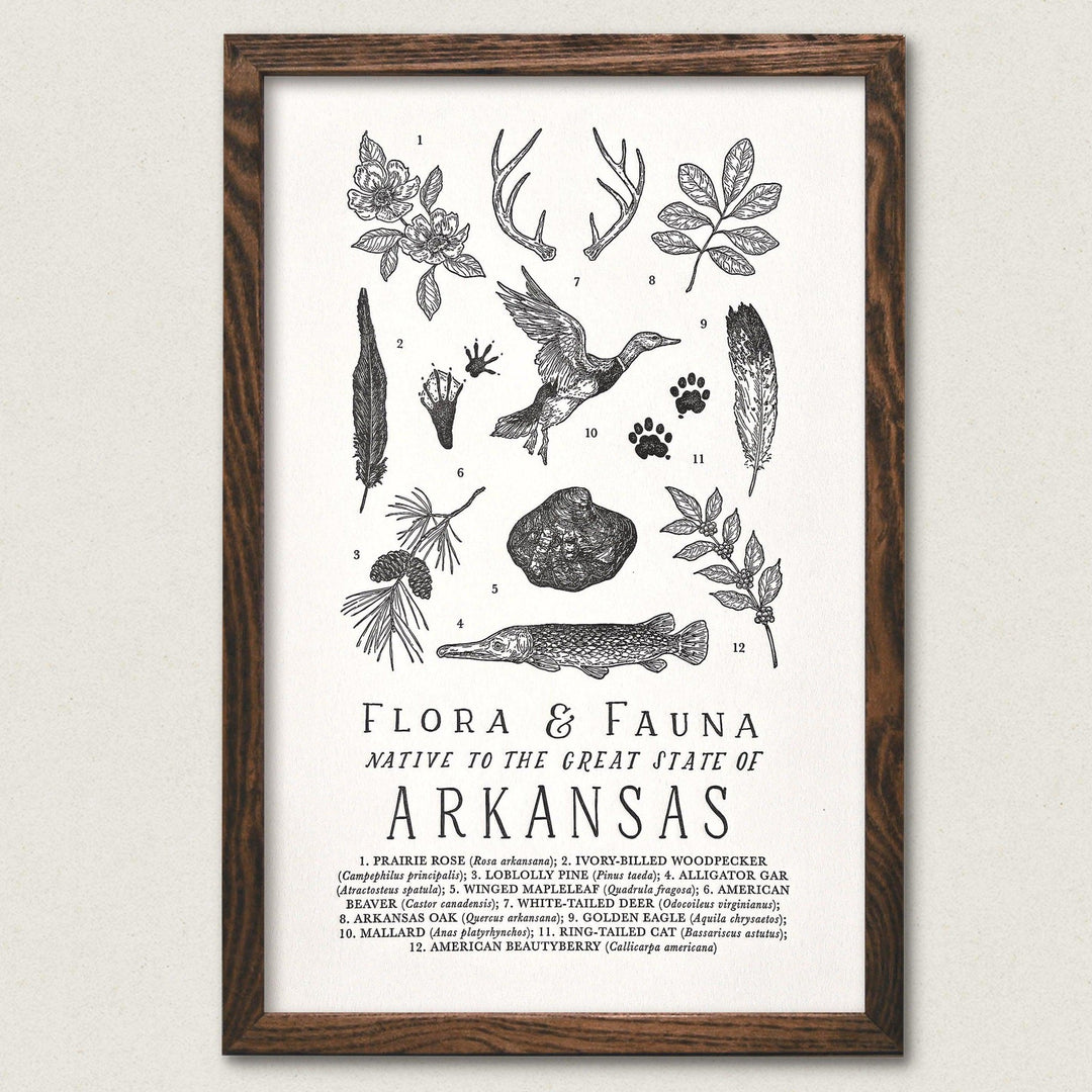 An Arkansas Field Guide Letterpress Art Print by The Wild Wander.