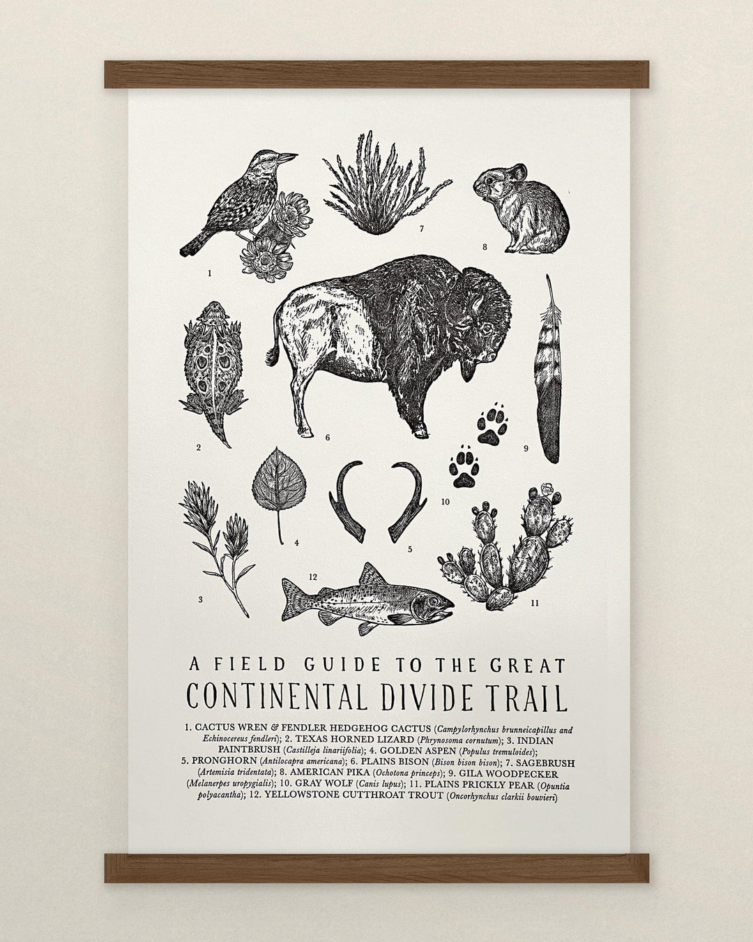 A Continental Divide Trail Field Guide Letterpress Print of the great Oklahoma bison trail by The Wild Wander.