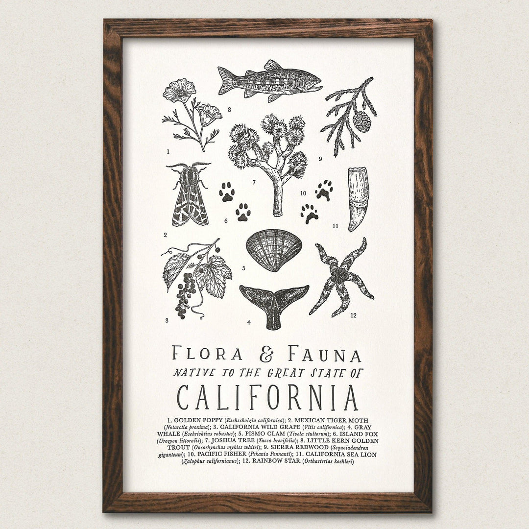 California wedding invitations The Wild Wander California Field Guide Letterpress Print The Wild Wander California Field Guide Letterpress Print The Wild Wander California Field Guide Letterpress Print califor.