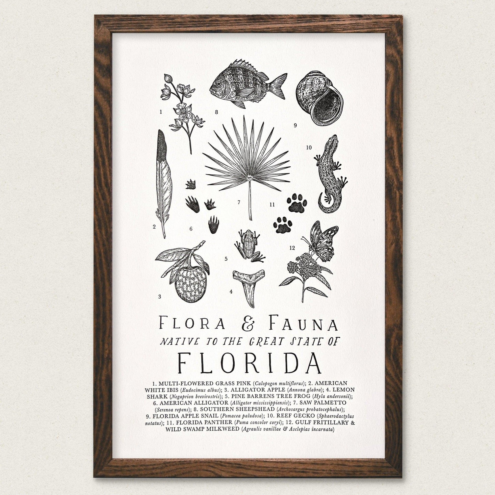 Florida Field Guide Print featuring flora and fauna by The Wild Wander.
