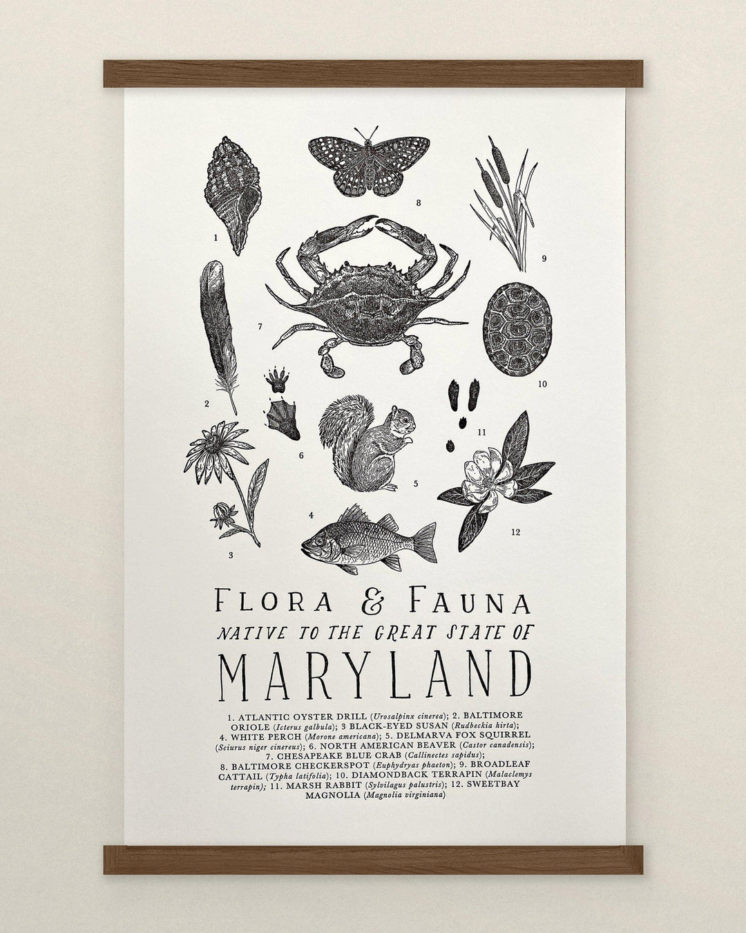 The Wild Wander Maryland Field Guide Letterpress Print.