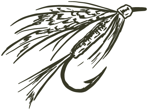 Illustration of a fishing fly with feathers and a hook.