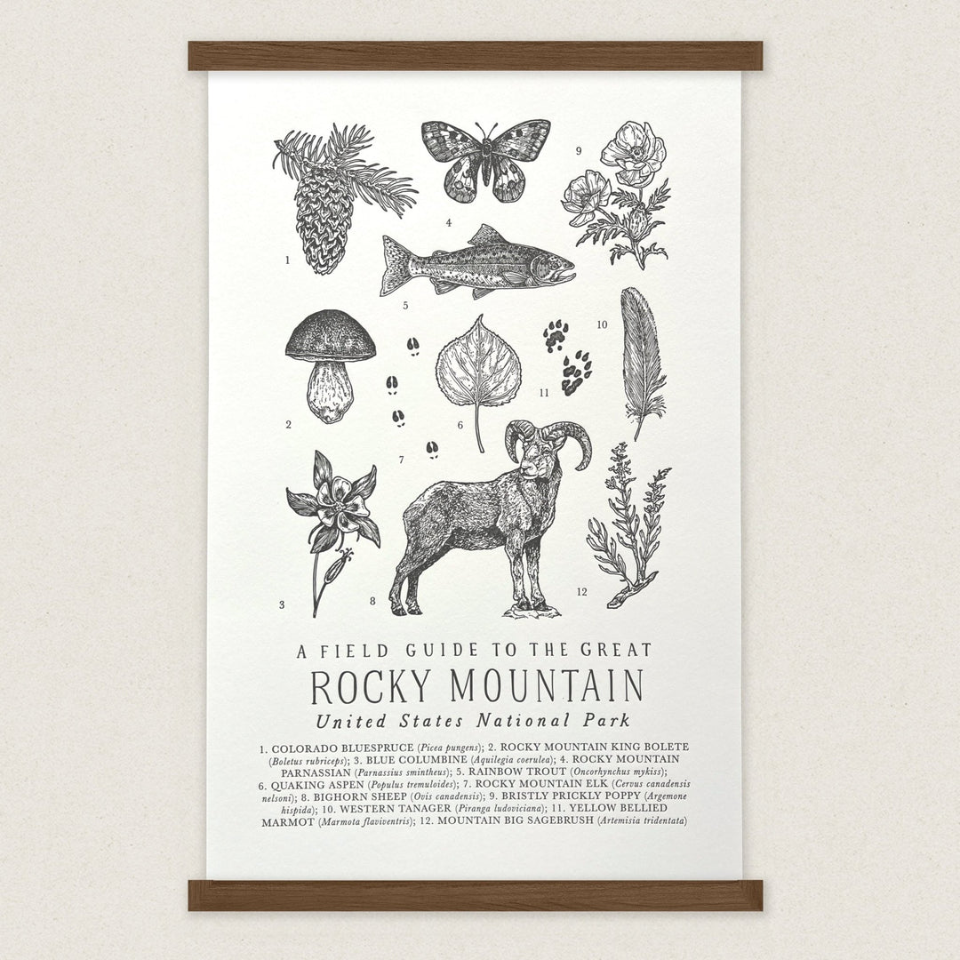 Rocky Mountain National Park Field Guide Art Print