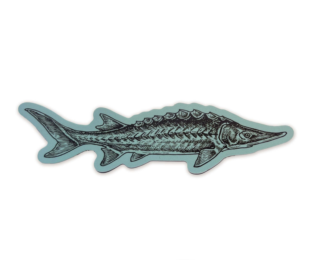 Sturgeon Fish Sticker