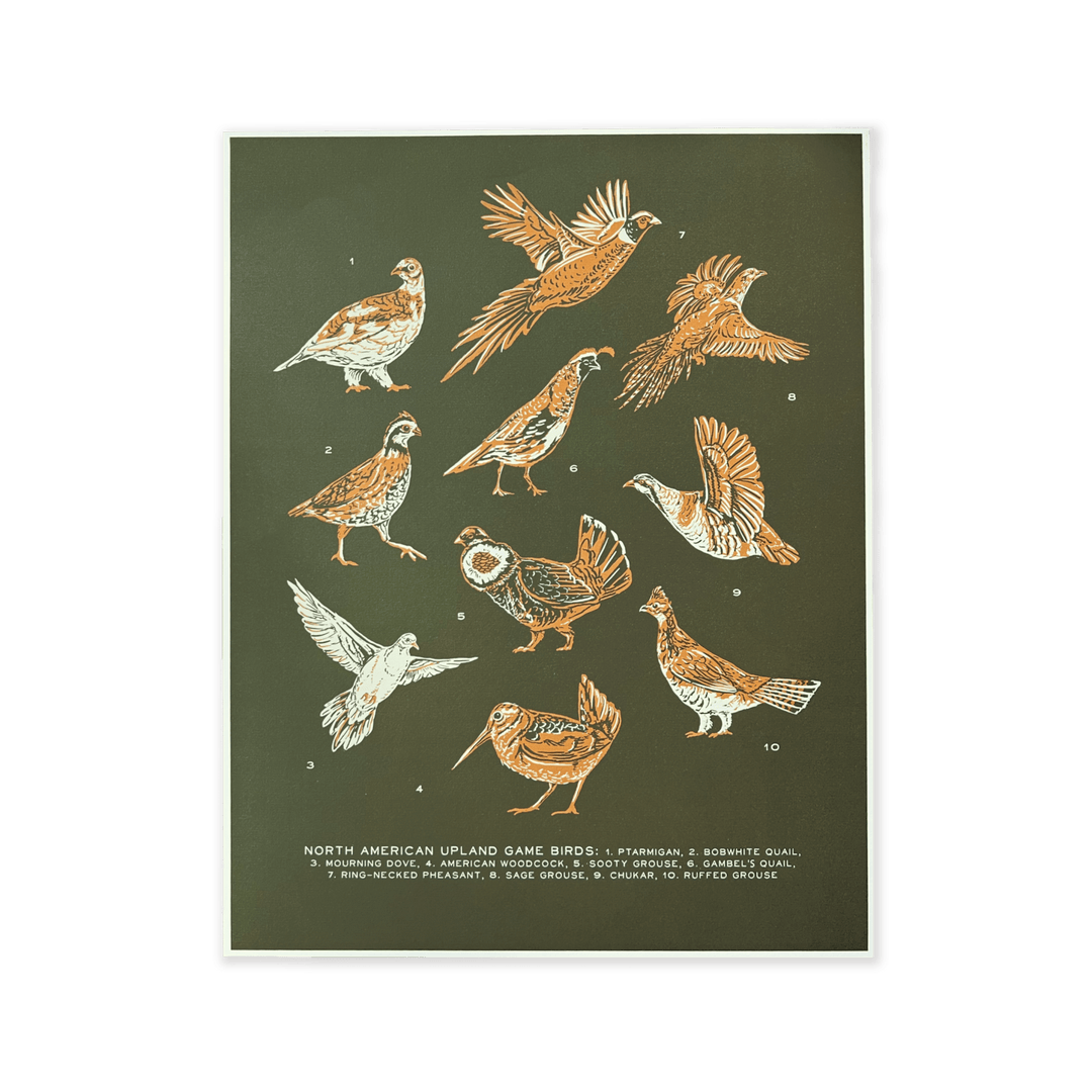 Upland Game Birds Print