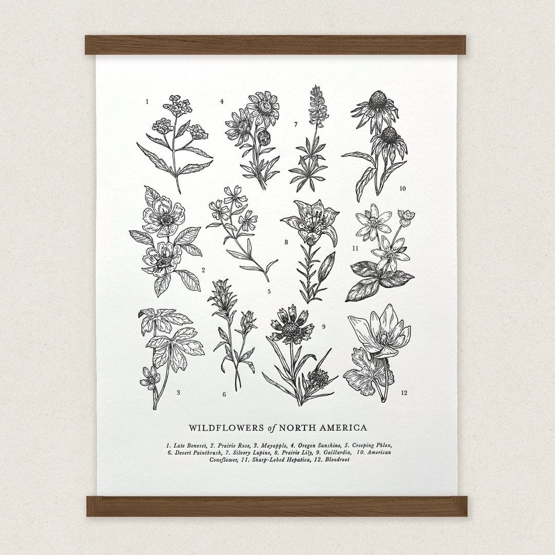 Wildflowers of North America Letterpress Print