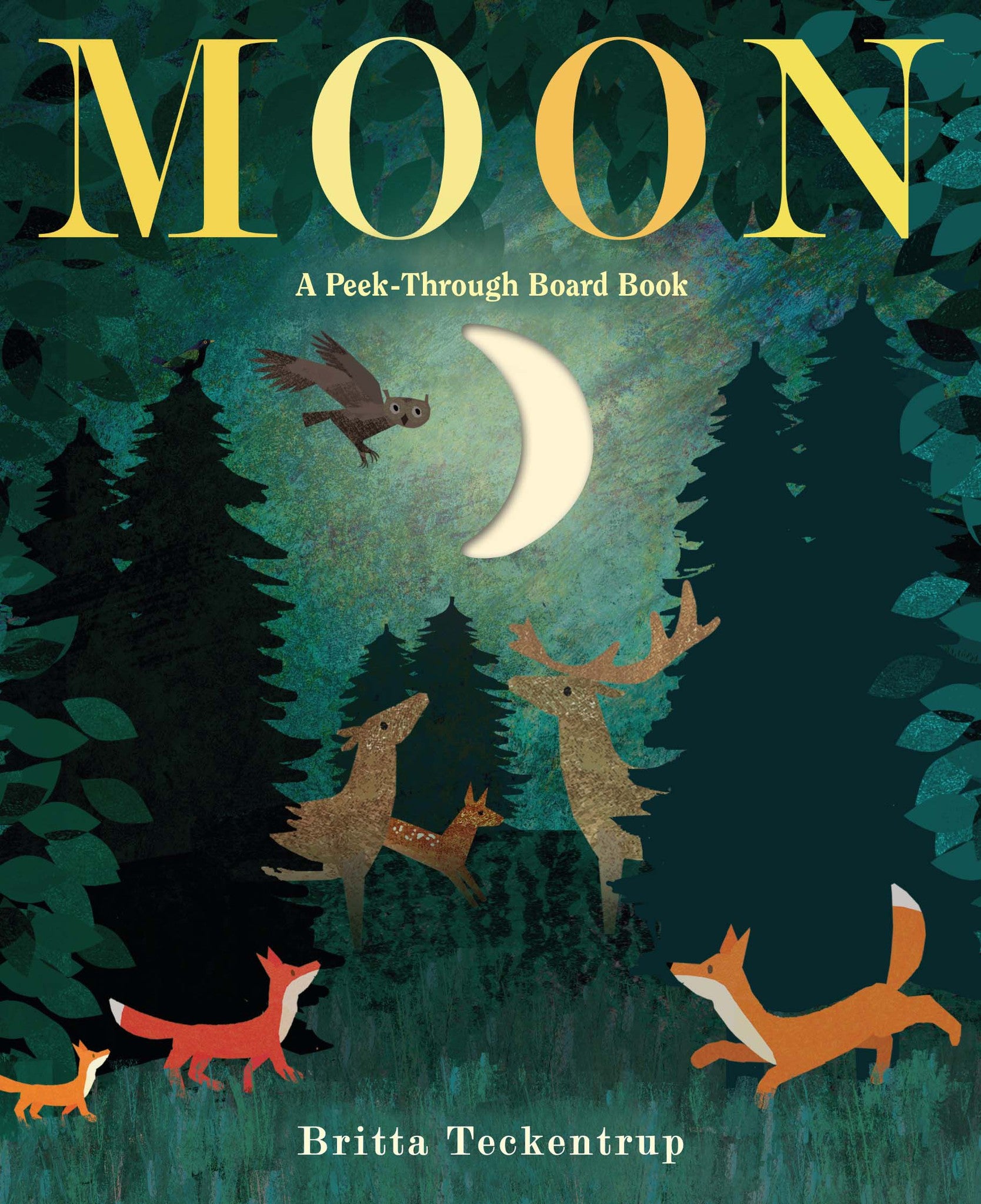 Moon: A Peek-Through Board Book by Penguin Random House.