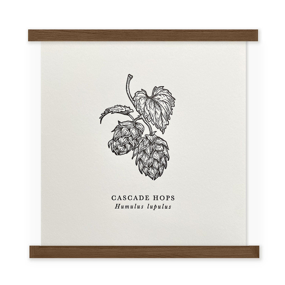 Cascade Hops Letterpress Art Print by The Wild Wander
