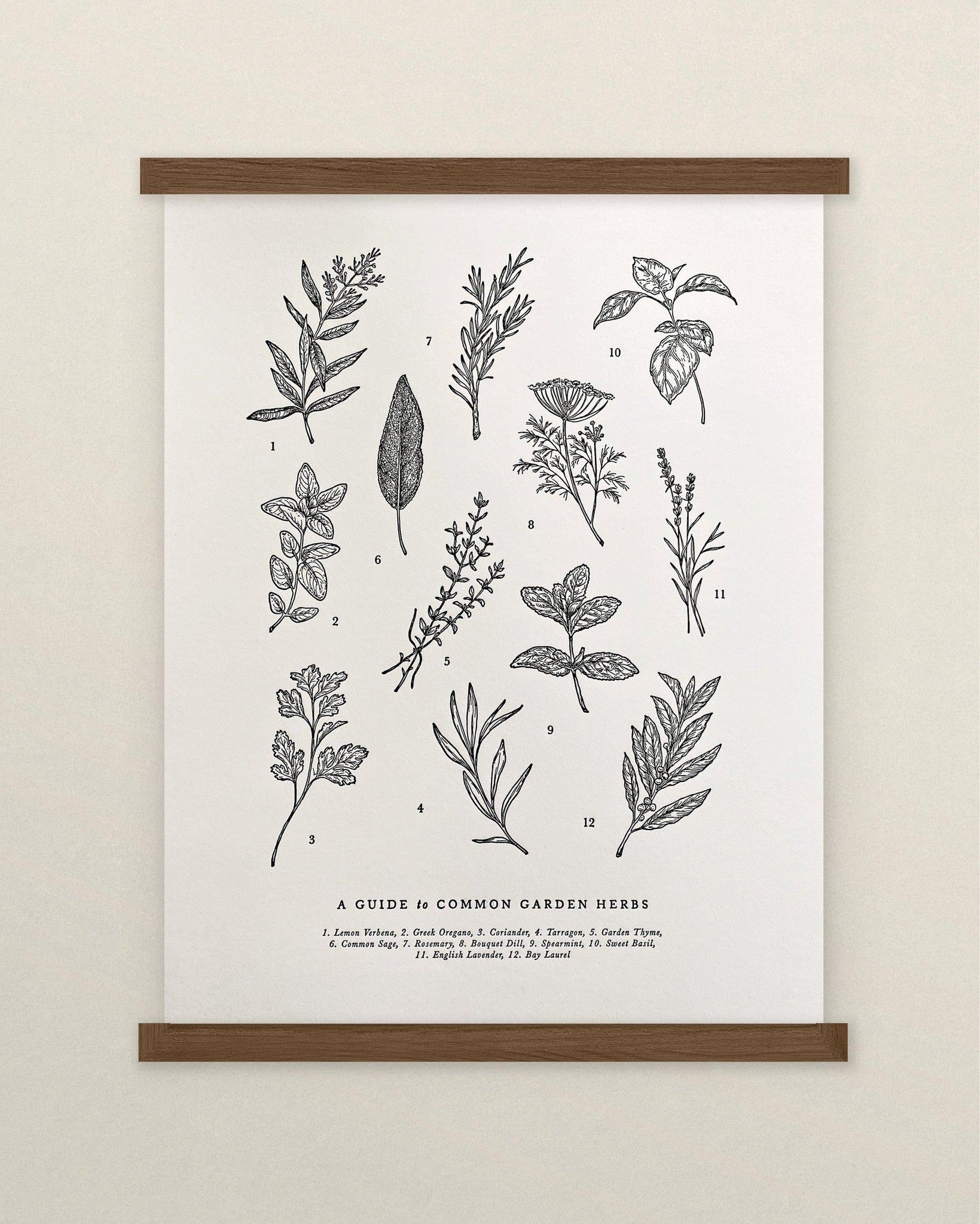 A Guide to Garden Herbs Chart Print of herbs and spices from The Wild Wander.