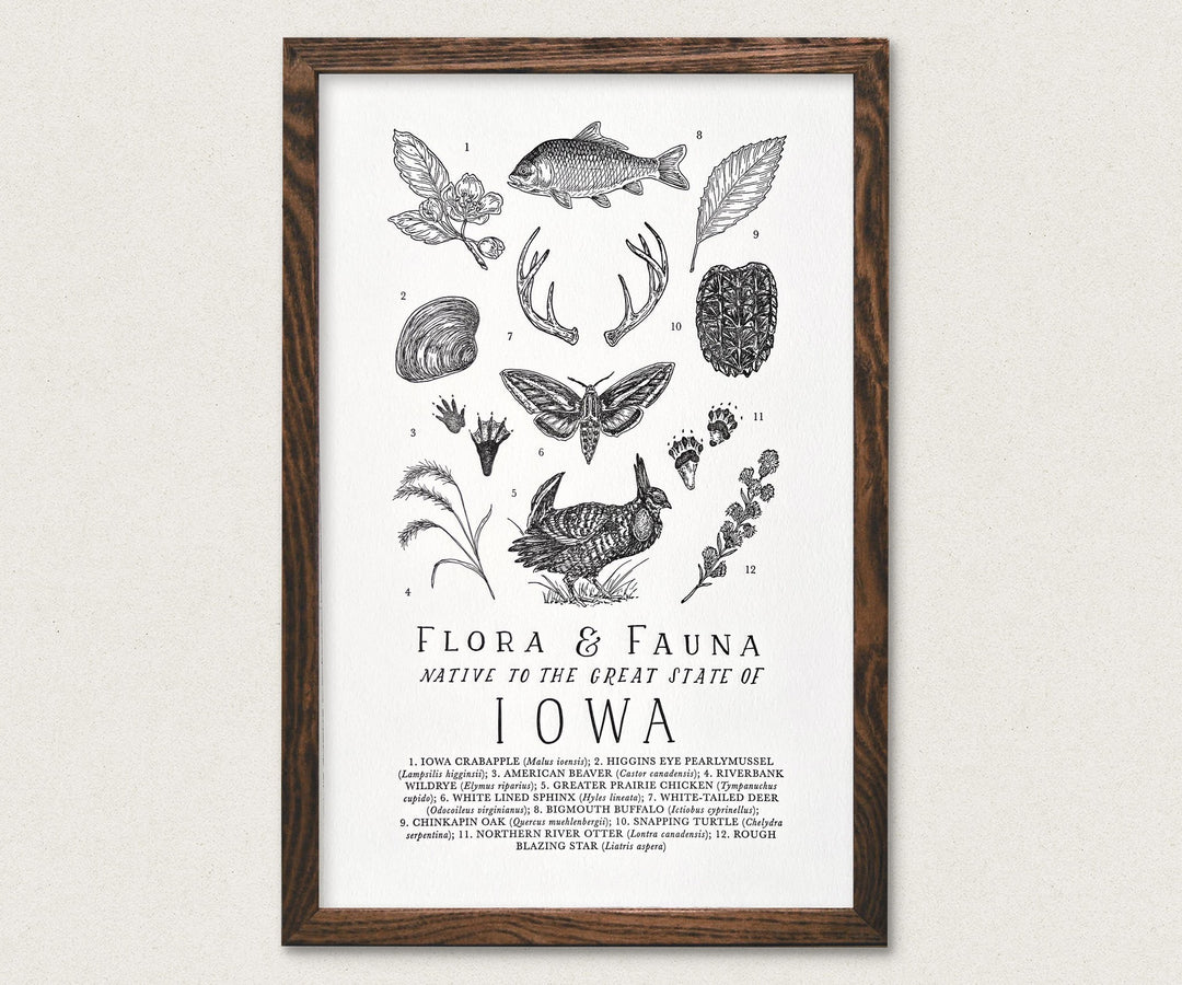The Wild Wander's Iowa Field Guide Letterpress Print - The Wild Wander's Iowa Field Guide Letterpress Print - The Wild Wander's Iowa Field Guide Letterpress Print - The Wild Wander's Iowa Field Guide Letterpress Print.