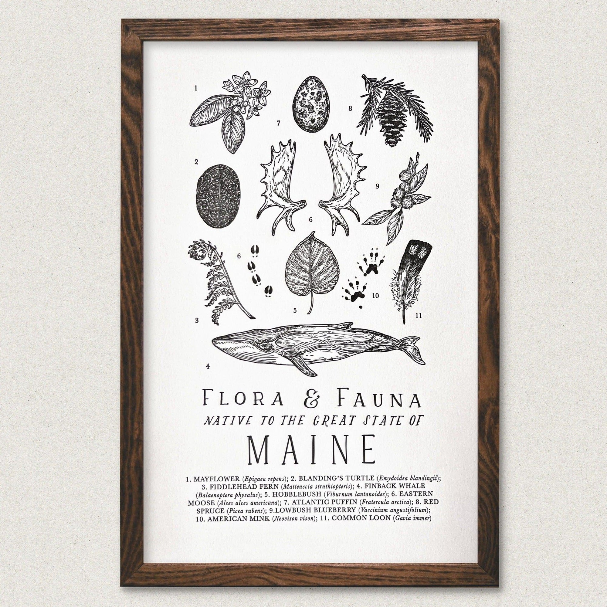 The Wild Wander Maine Field Guide Letterpress Print.