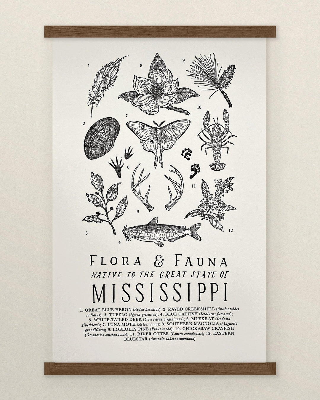 The Wild Wander Mississippi Field Guide Letterpress Print.