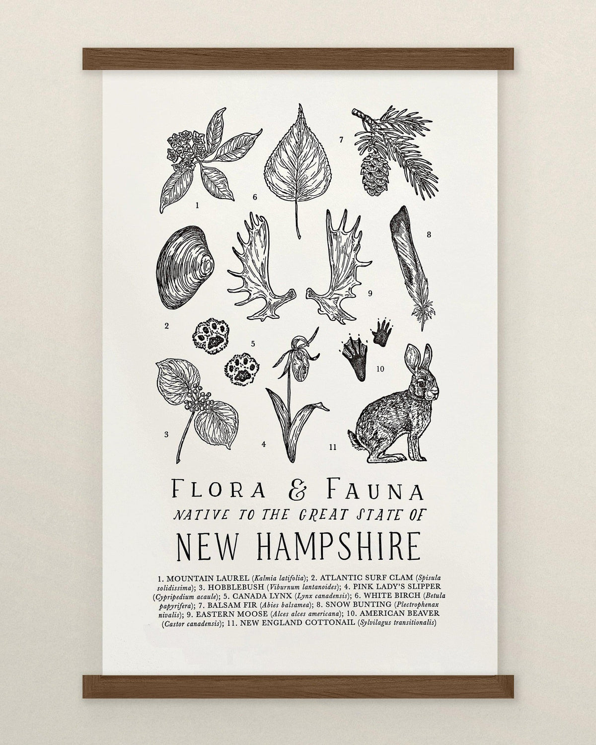 The Wild Wander&#39;s New Hampshire Field Guide Letterpress Print.