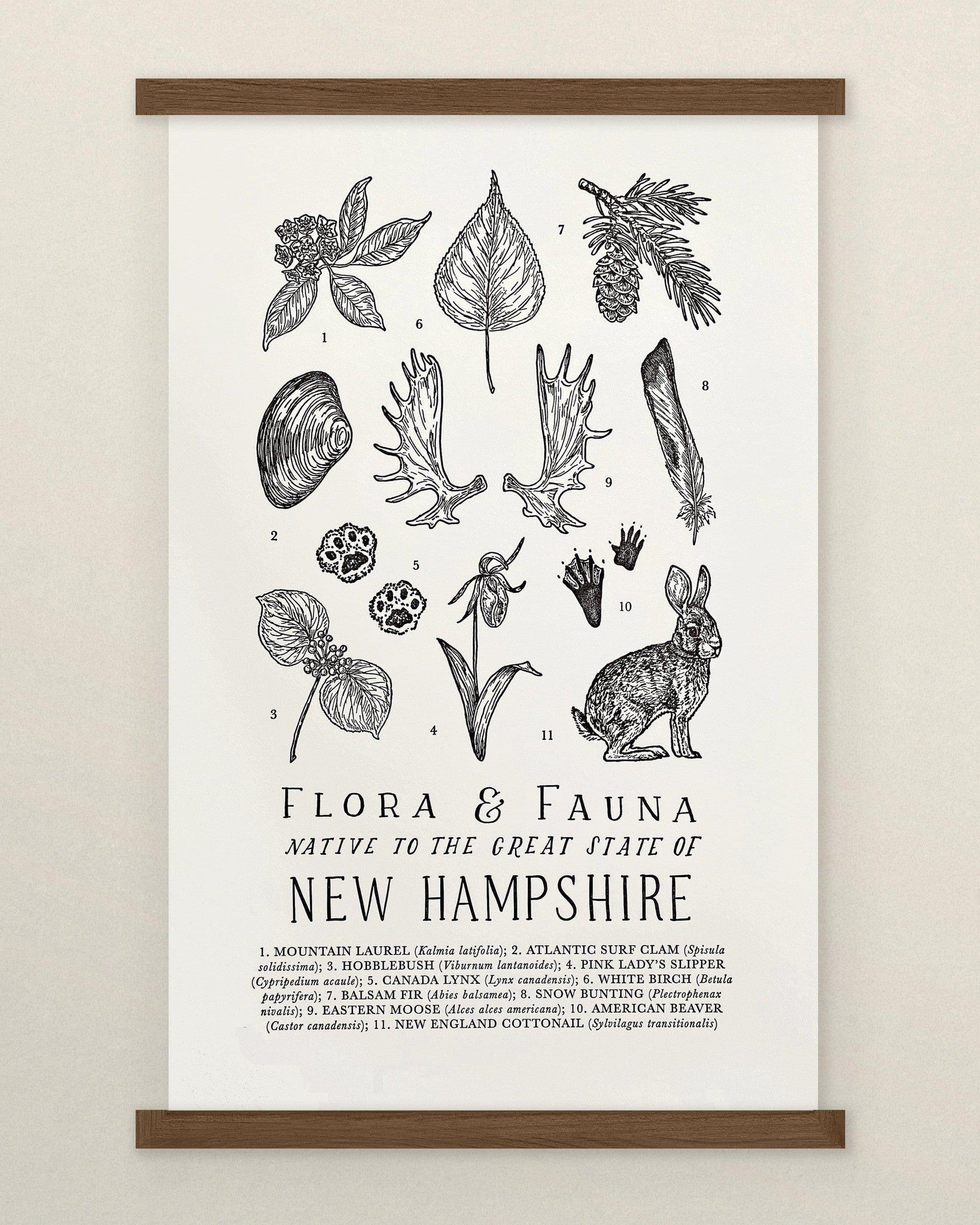 The Wild Wander's New Hampshire Field Guide Letterpress Print.