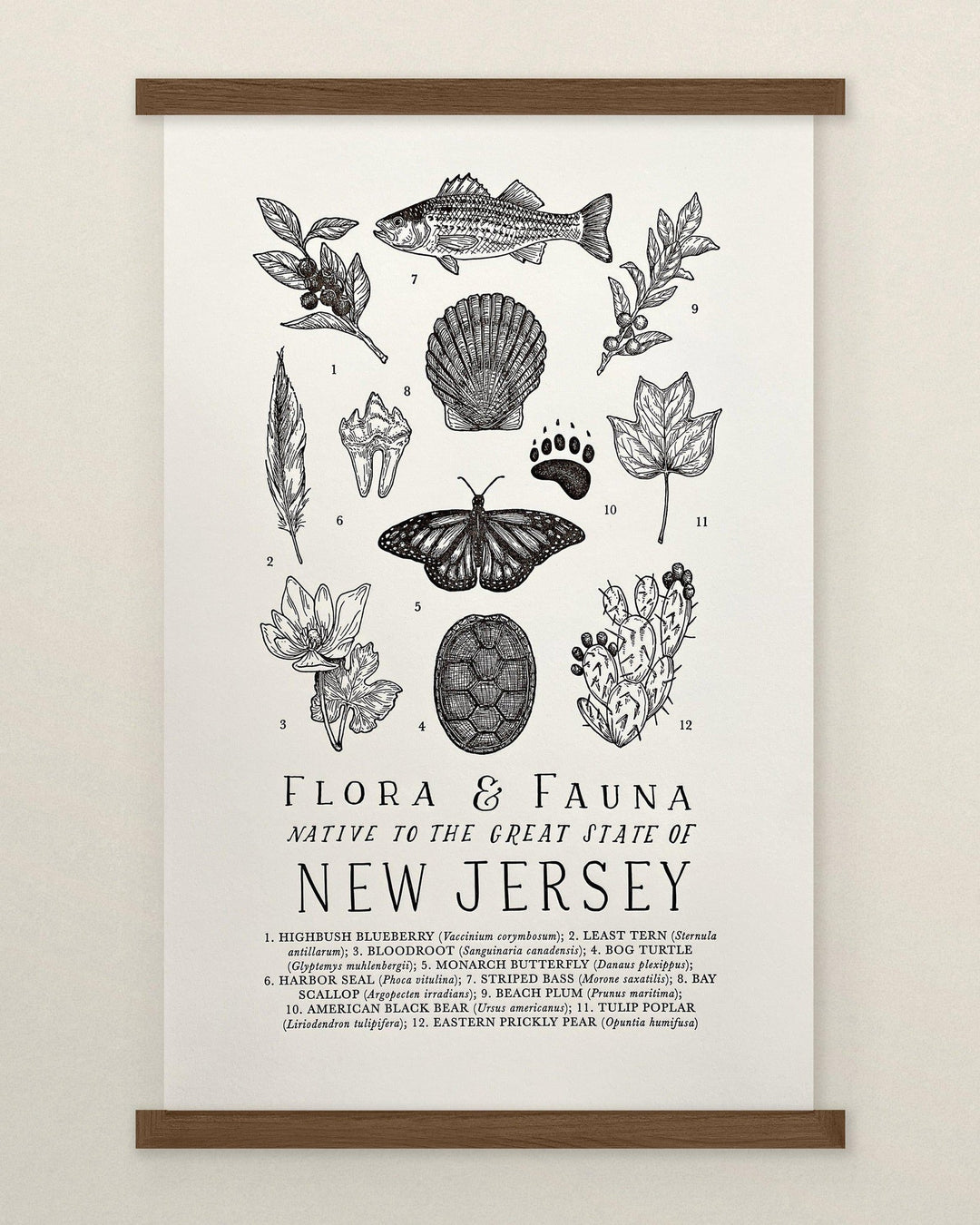The Wild Wander New Jersey Field Guide Letterpress Print.