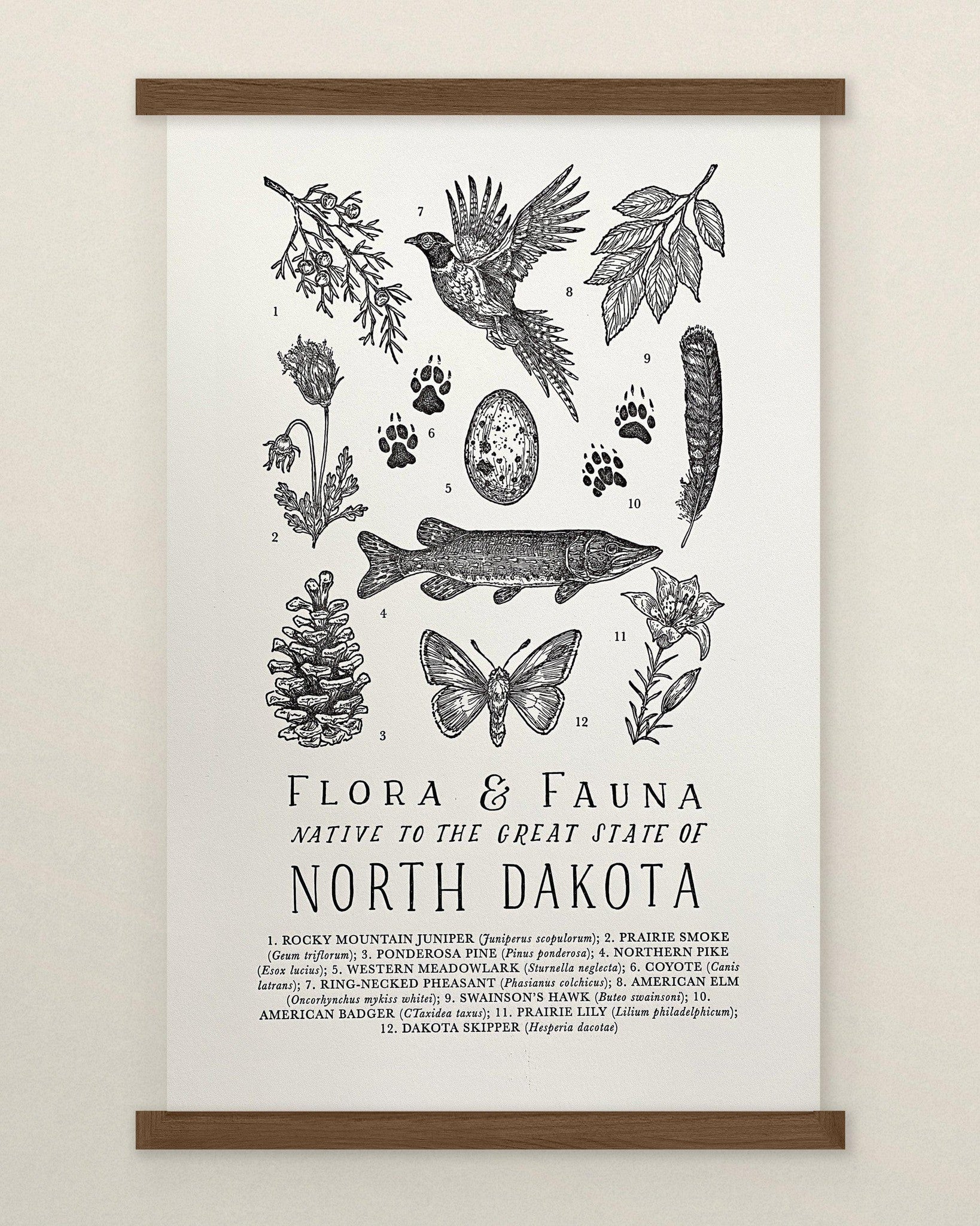 Flora and The Wild Wander North Dakota Field Guide Print.