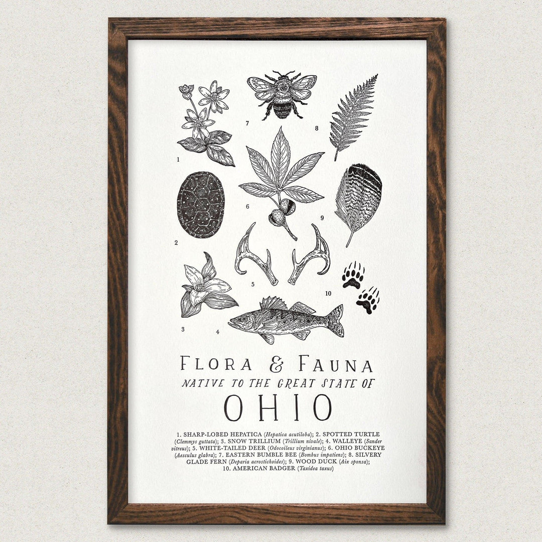 The Wild Wander Ohio Field Guide Letterpress Print.