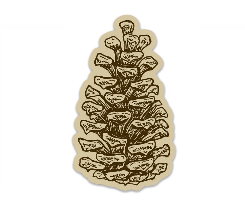 An image of a Pinecone Sticker from The Wild Wander on a white background.