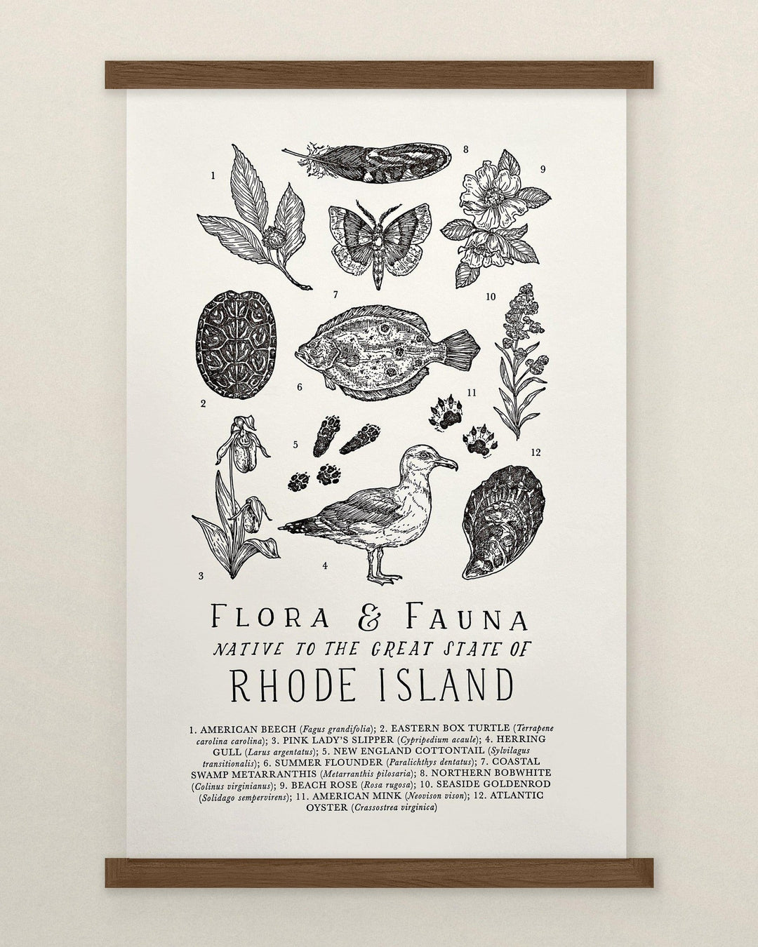 The Wild Wander Rhode Island Field Guide Letterpress Print - The Wild Wander Rhode Island Field Guide Letterpress Print - The Wild Wander Rhode Island Field Guide Letterpress Print - .