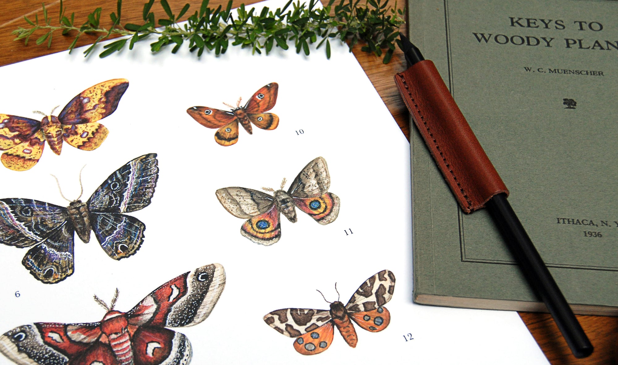 A book with butterflies on it and a pen next to it.