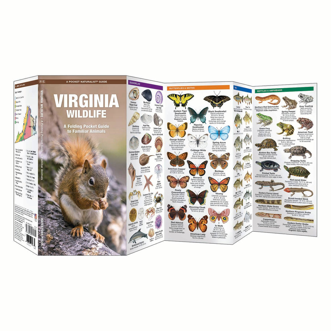 Virginia Wildlife Nature Guide