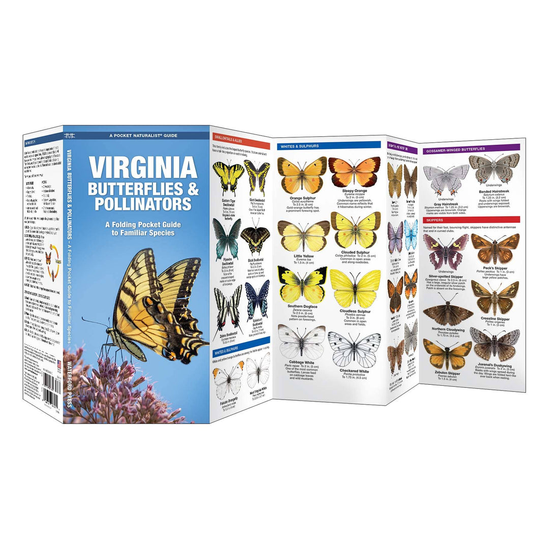 Virginia Butterflies & Pollinators Nature Guide