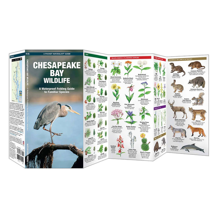 Chesapeake Bay Wildlife Nature Guide