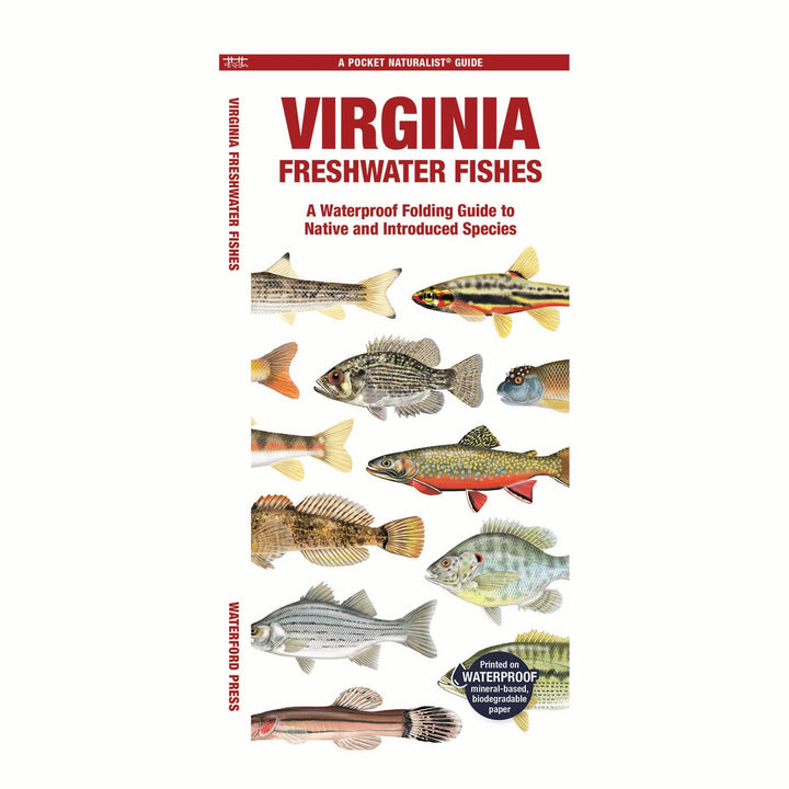Virginia Freshwater Fishes Nature Guide