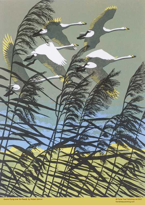 Jigsaw Puzzle Robert Gillmor: Swans Flying over the Reeds (500 pieces)