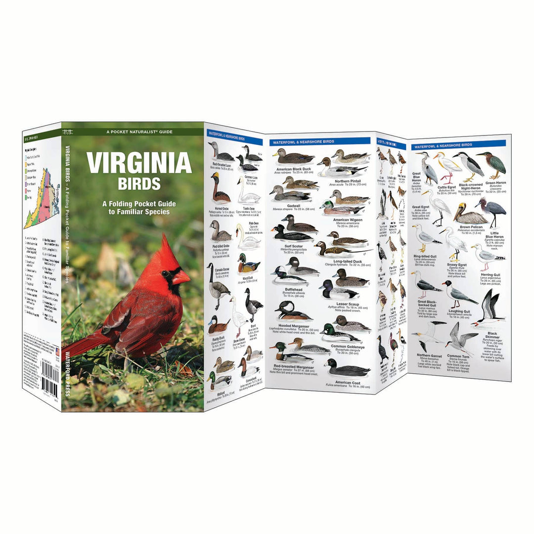 Virginia Birds Nature Guide