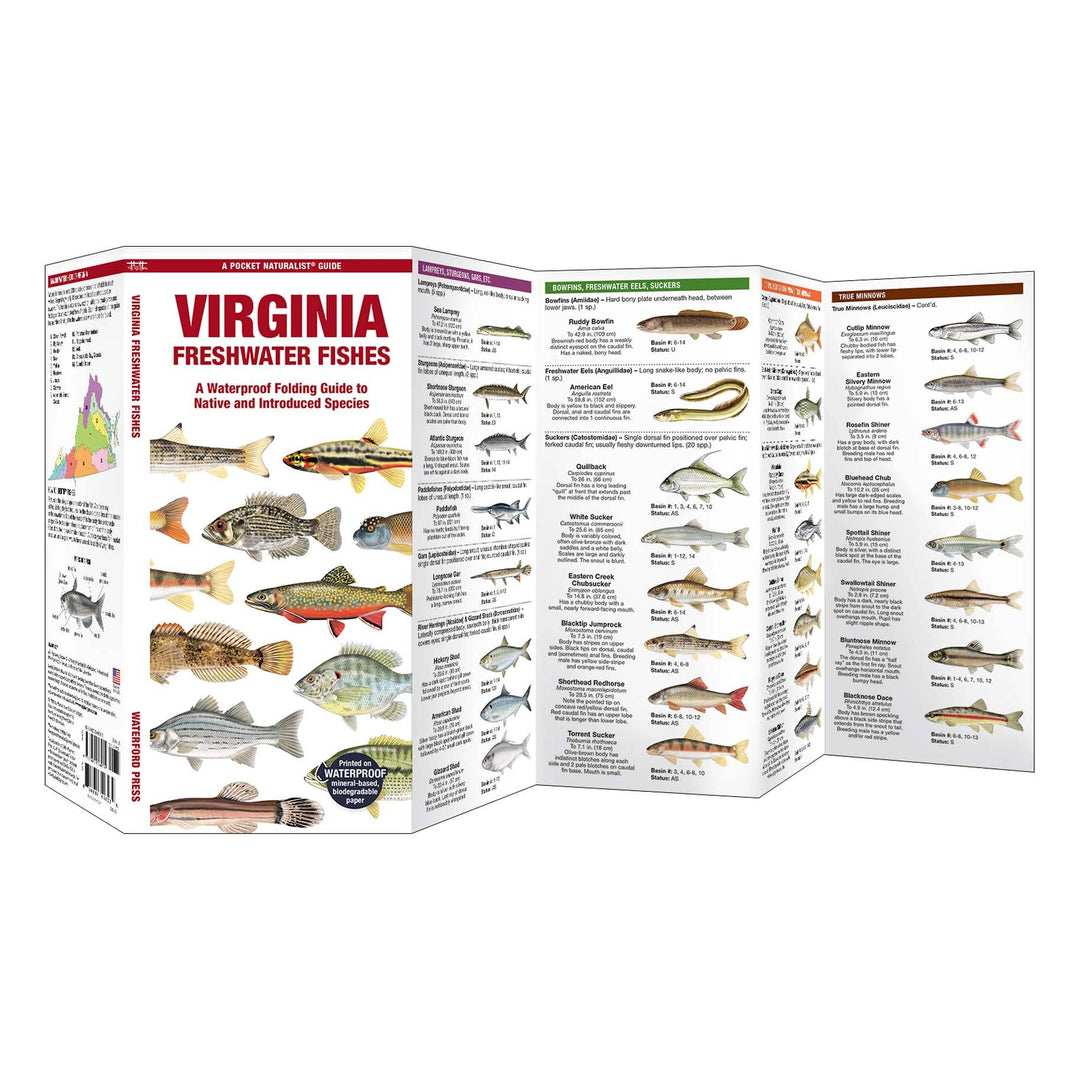 Virginia Freshwater Fishes Nature Guide
