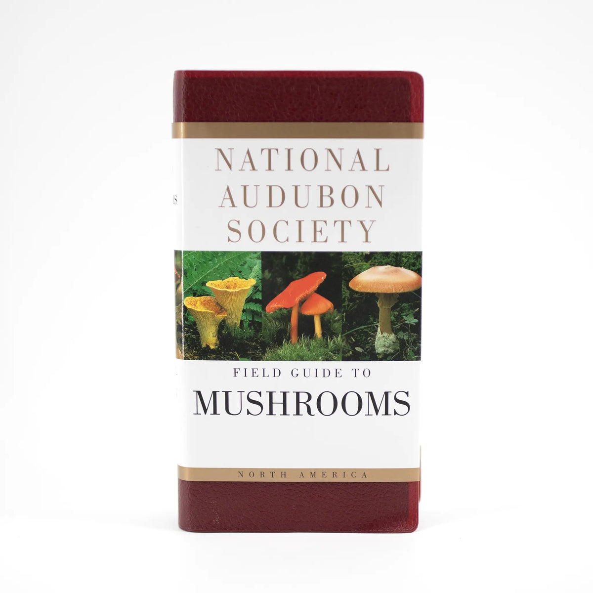 National Audubon Society Field Guide to North American Mushrooms