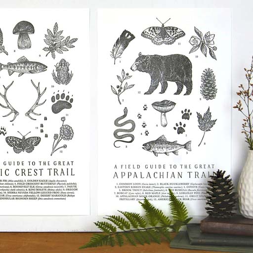 Illustrated field guide posters for the "Pacific Crest Trail" and "Appalachian Trail," featuring drawings of flora and fauna. Pine cones and greenery are placed in front for decoration.
