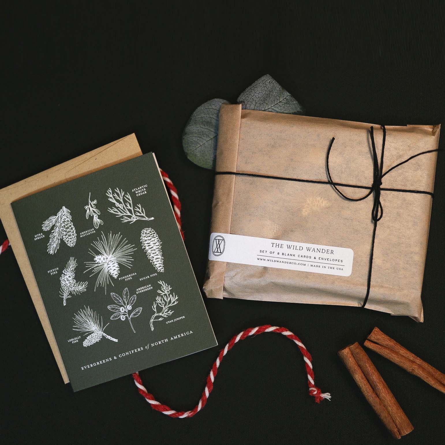 A notebook featuring illustrations of conifers and a wrapped package are placed on a black surface, accompanied by a red and white striped string and some cinnamon sticks.