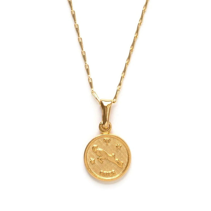 Tiny Zodiac Medallion Necklace
