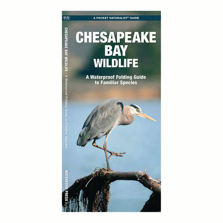 Chesapeake Bay Wildlife Nature Guide