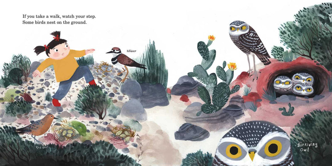 How to Find a Bird by Jennifer Ward