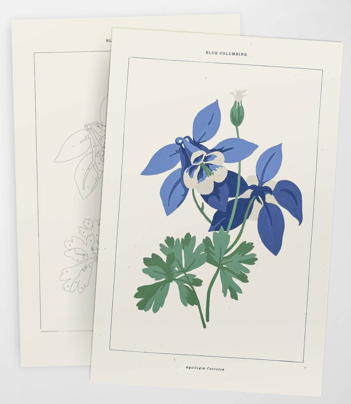 Blue Columbine Botanical | Modern Paint By Numbers Kit