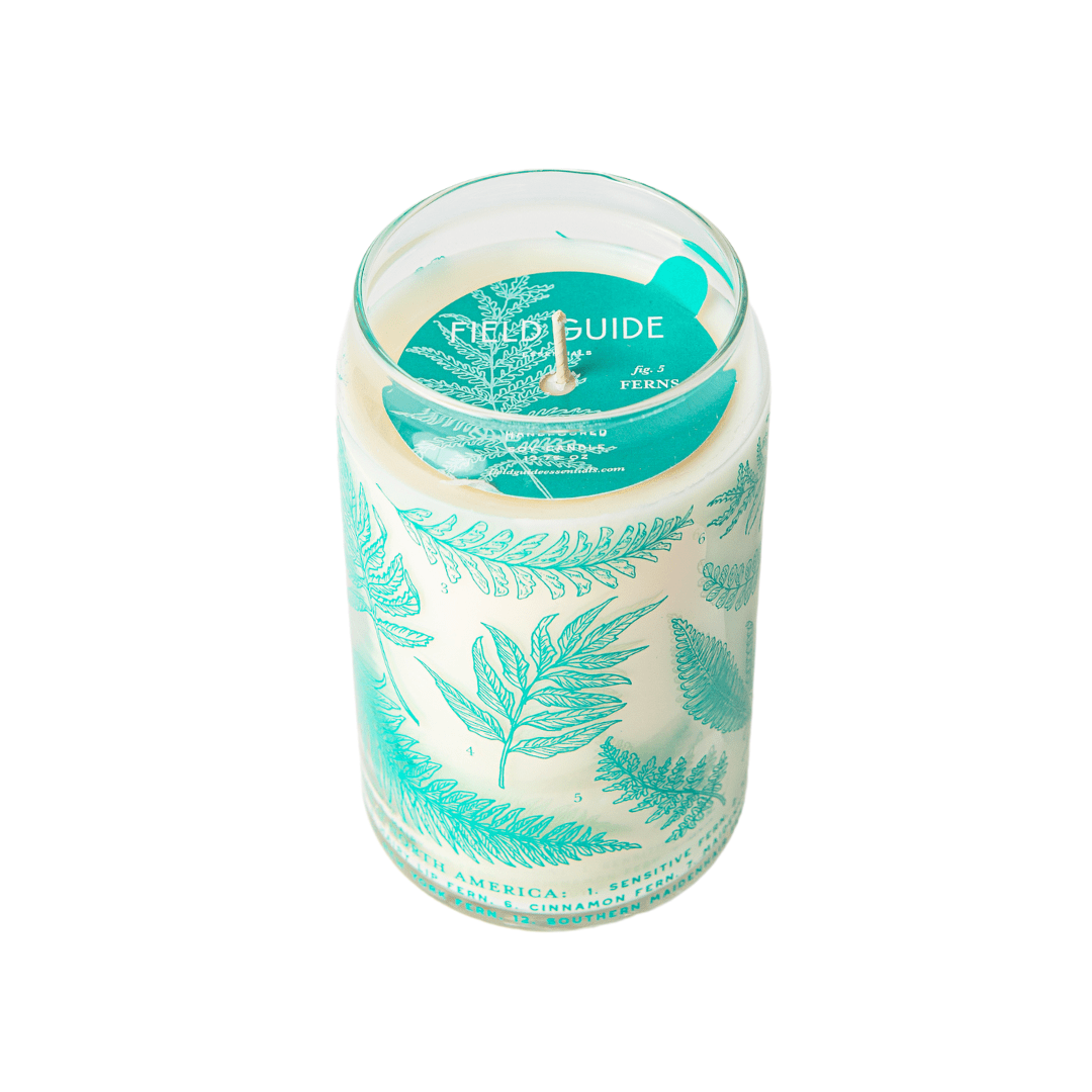 Ferns Soy Candle - Forest Floor Collection