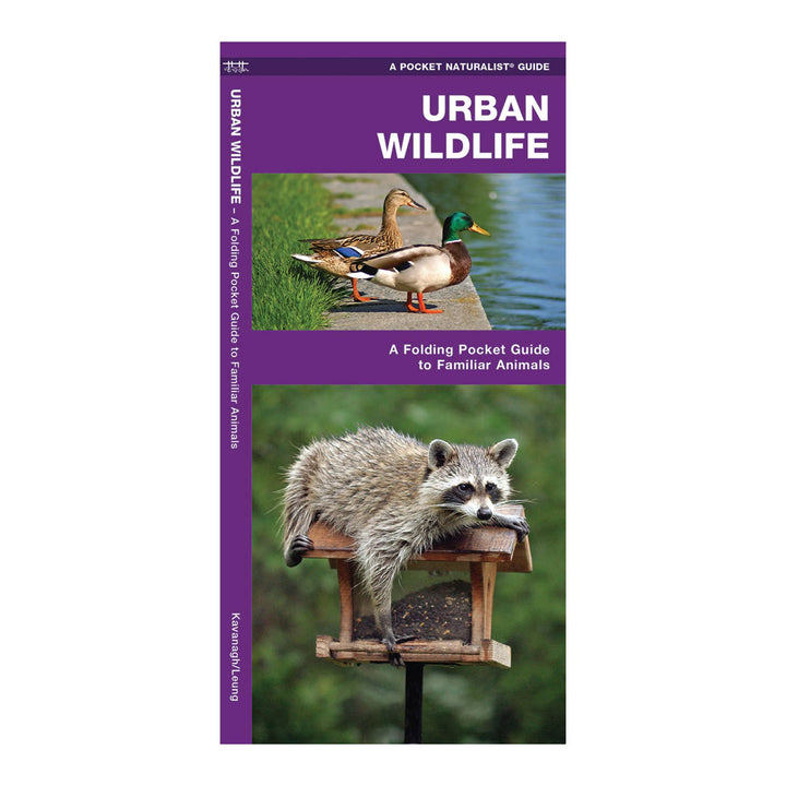 Urban Wildlife Nature Guide