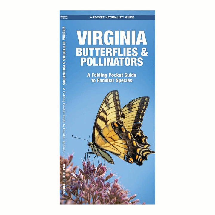 Virginia Butterflies & Pollinators Nature Guide