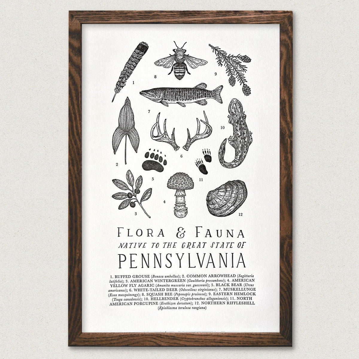 The Wild Wander Pennsylvania Field Guide Print.