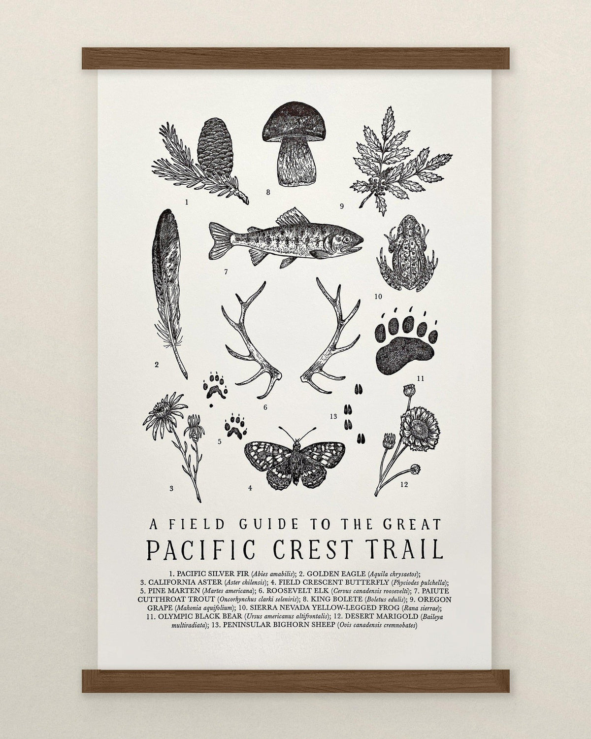 A poster with a Pacific Crest Trail Field Guide Letterpress Print by The Wild Wander.