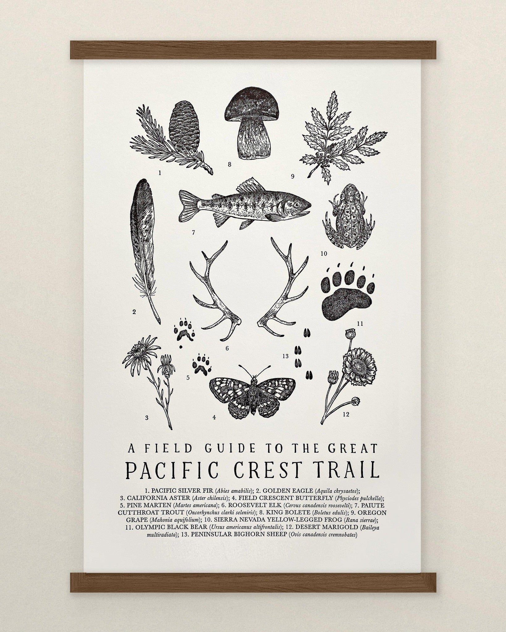 A poster with a Pacific Crest Trail Field Guide Letterpress Print by The Wild Wander.