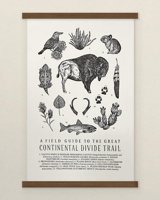 National Park & Trails Wall Art by The Wild Wander